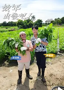 今晚不设限 综艺在线观看